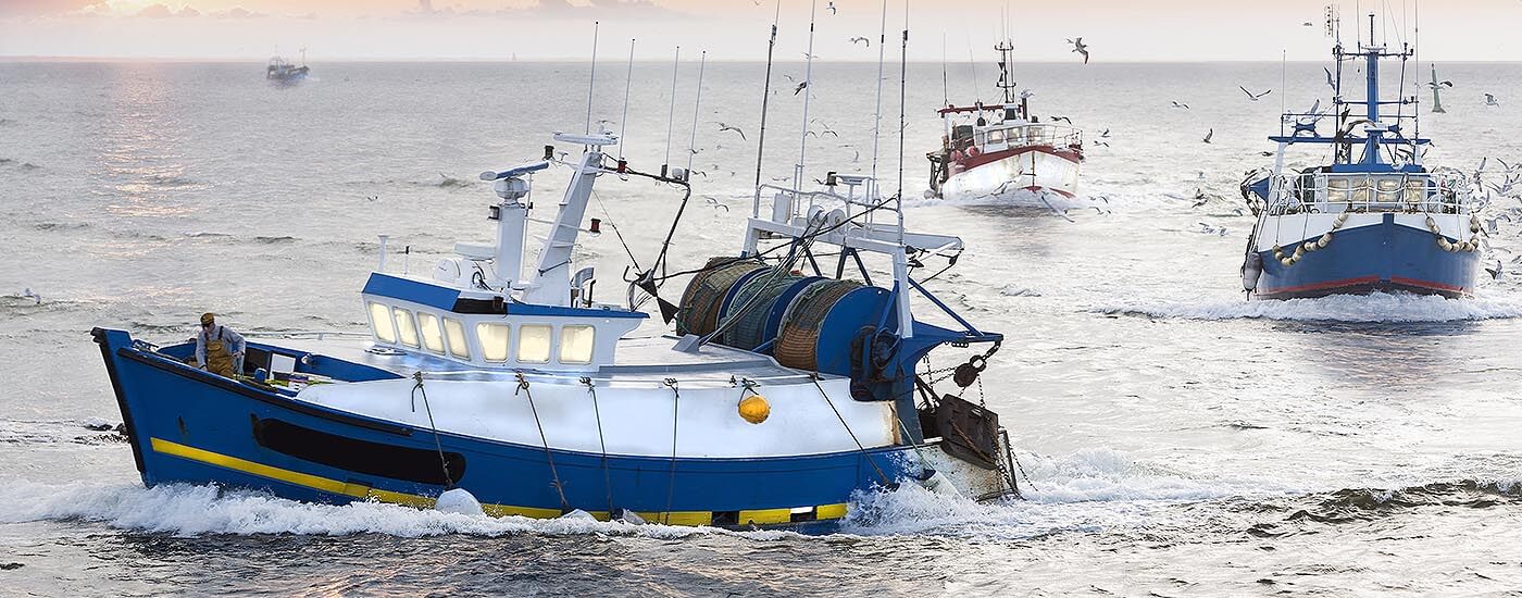 Fishing Wire Rope Manufacturer